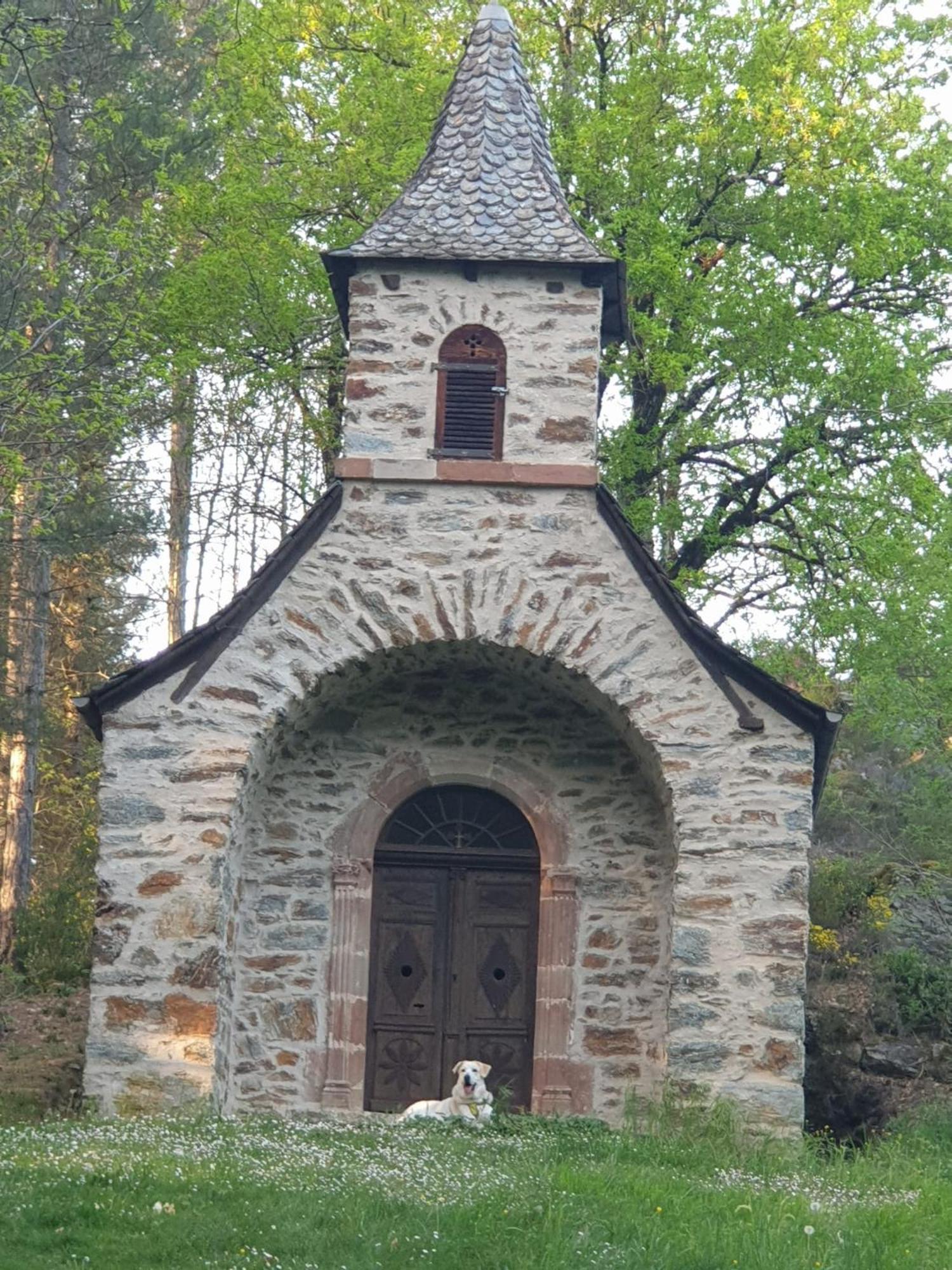 Готель Aux Gorges Du Dourdou Conques-en-Rouergue Екстер'єр фото
